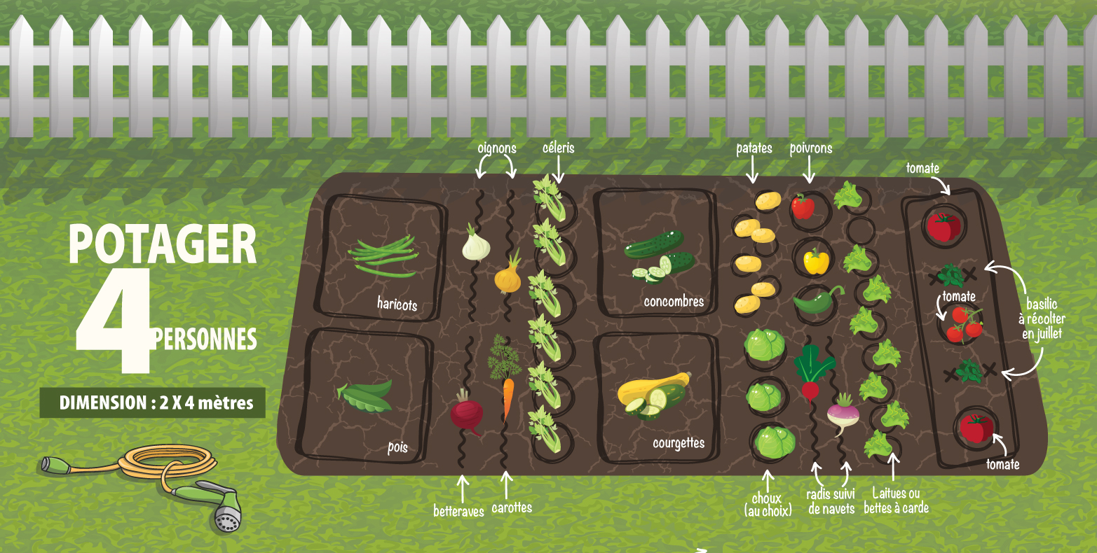 Potager debutant : conseils pour demarrer jardin potager